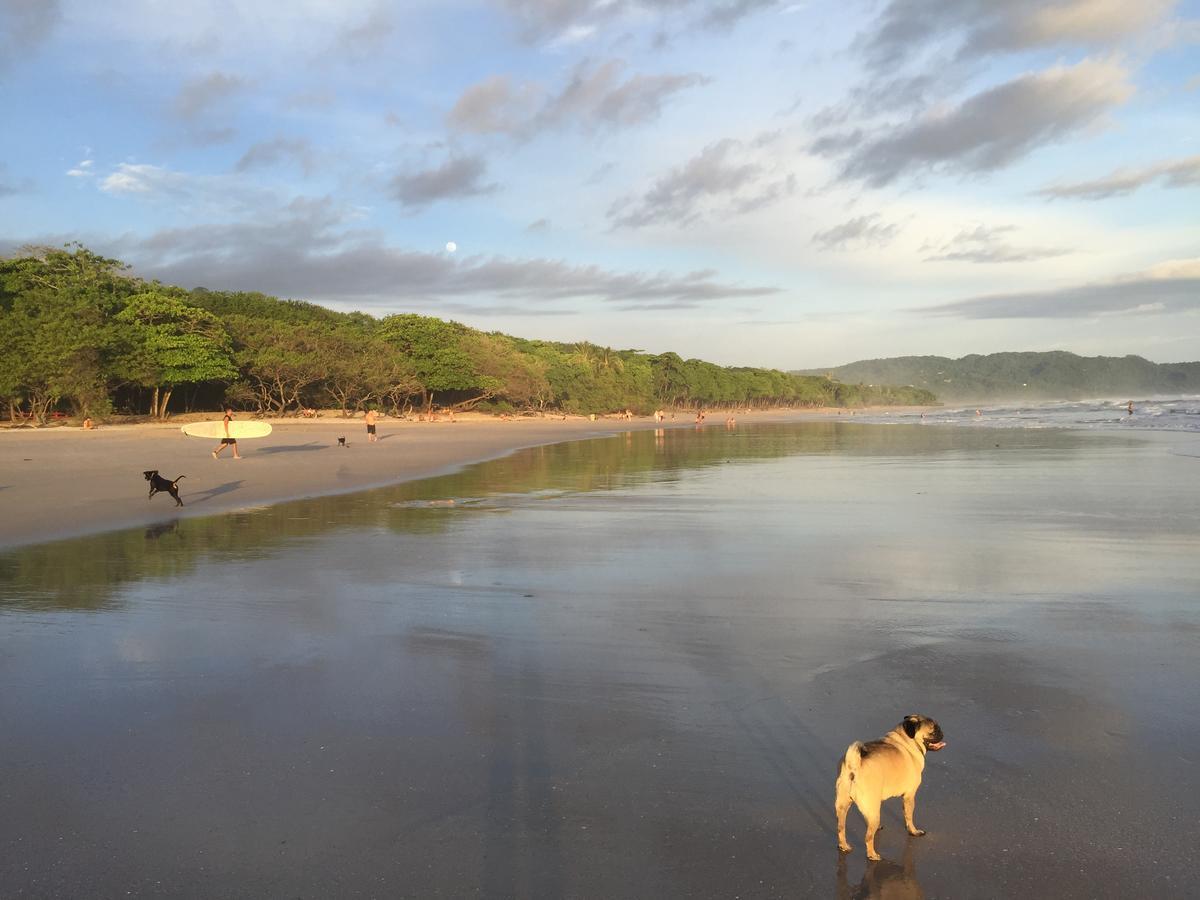 Playa Santa Teresa  Selina Santa Teresa Northホステル エクステリア 写真