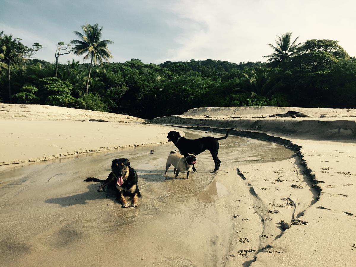 Playa Santa Teresa  Selina Santa Teresa Northホステル エクステリア 写真