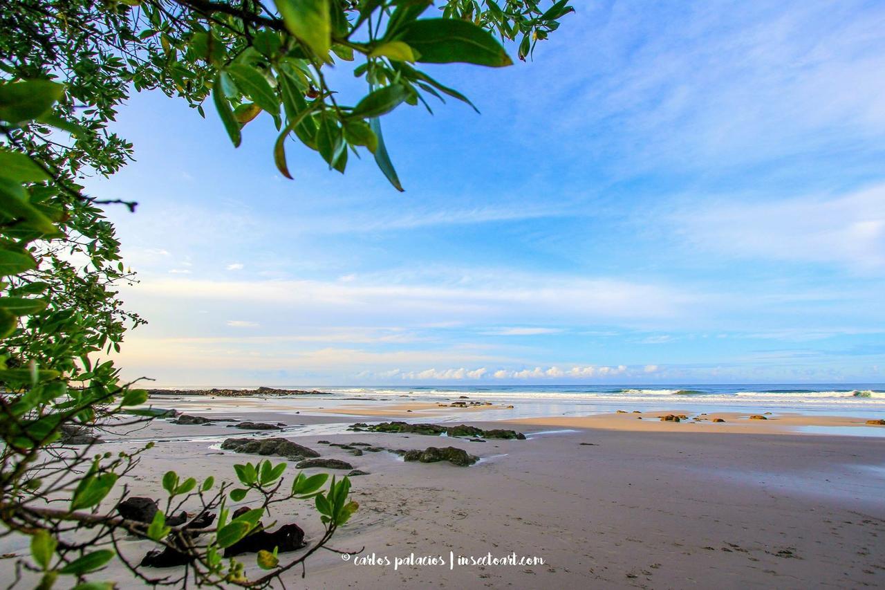 Playa Santa Teresa  Selina Santa Teresa Northホステル エクステリア 写真